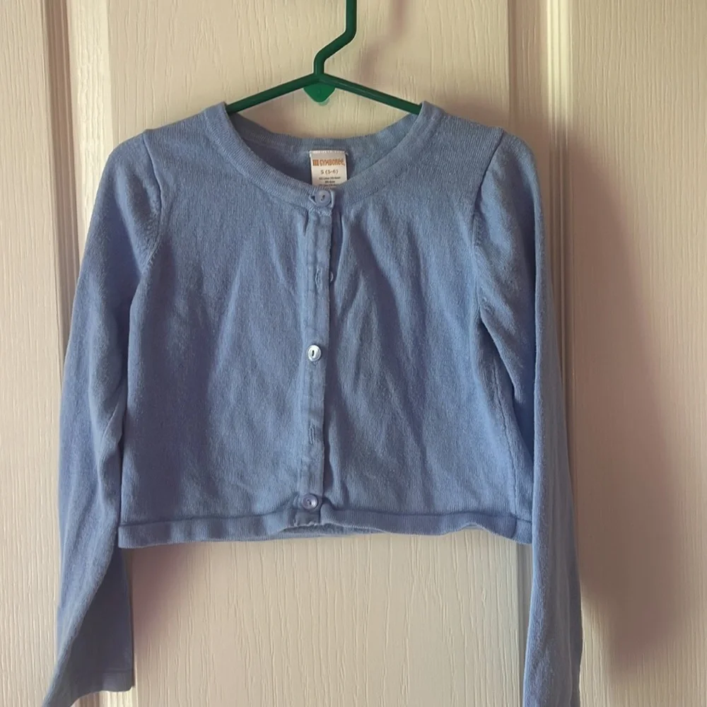 F4 Gymboree blue sweater